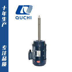 非標定制系列長軸電機