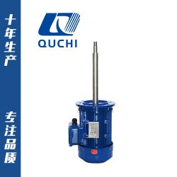 非標(biāo)定制三相異步長軸電機(jī)