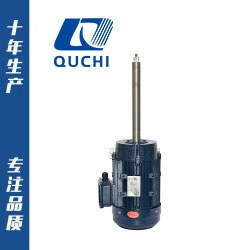 非標(biāo)定制系列長軸電機(jī)