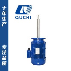 化工泵專用長軸電機(jī)